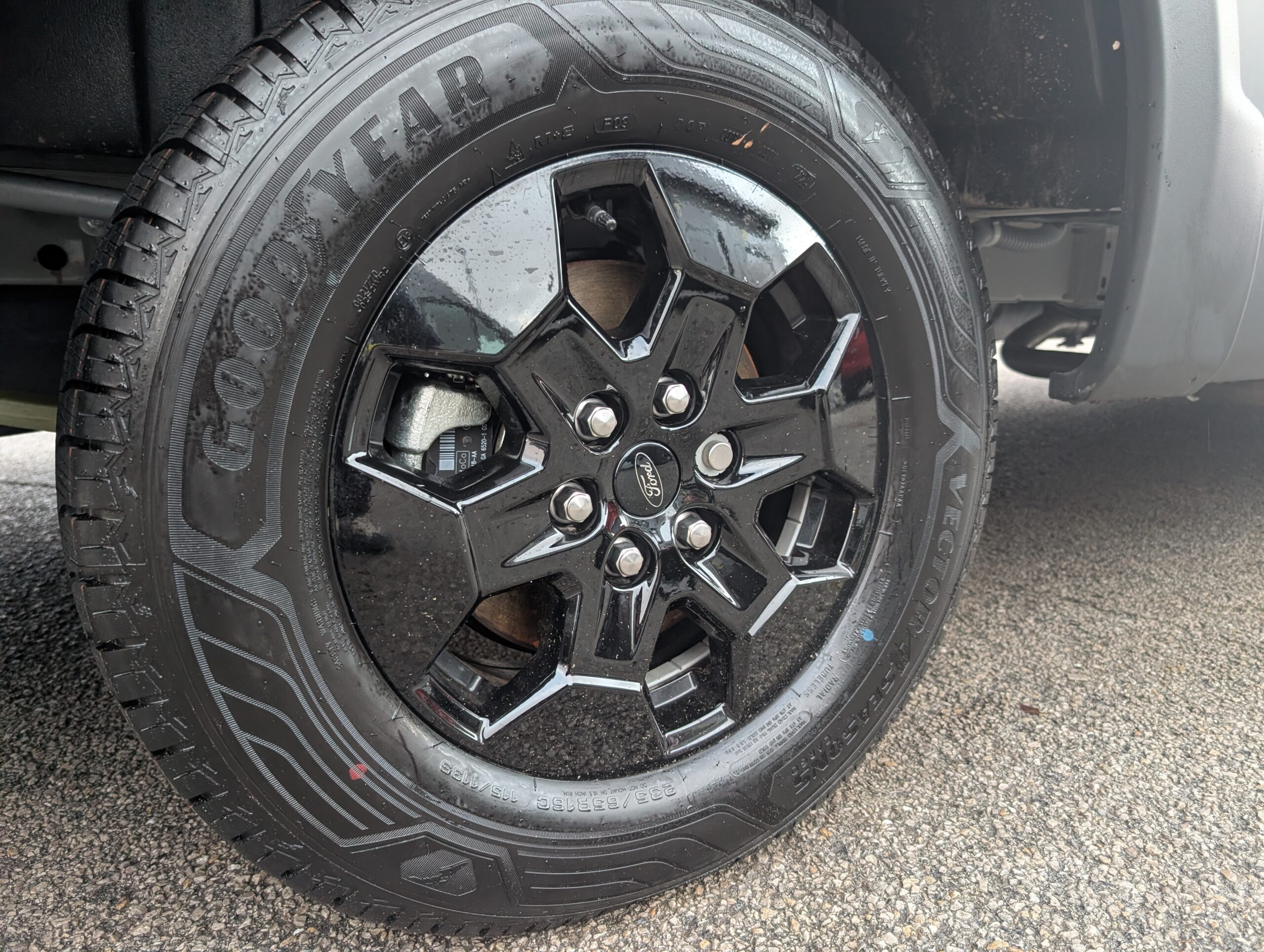 PXL 20260112 154629993