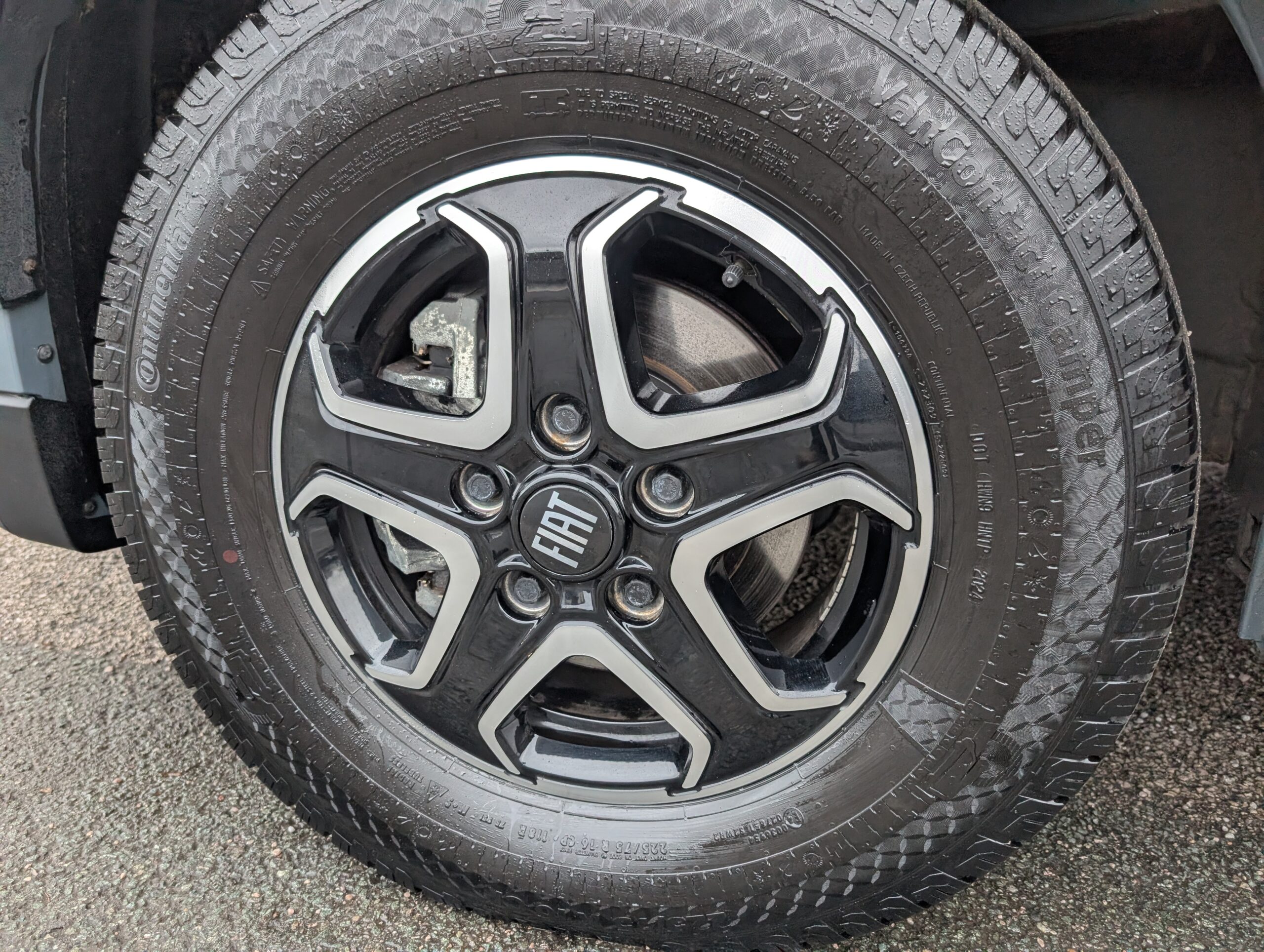 PXL 20260212 124850263